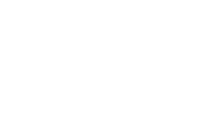 THZ Insurance - Logo 500 White