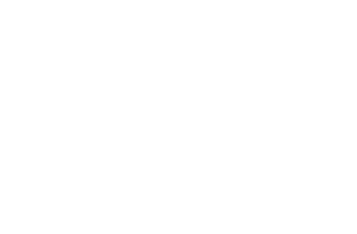 THZ Insurance Group