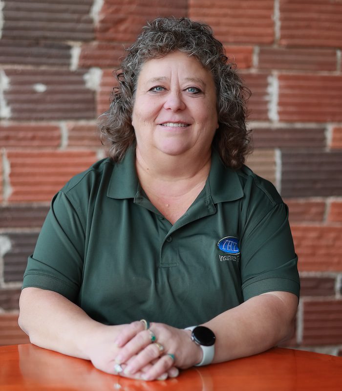 Connie Lang